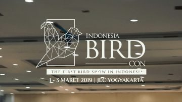61 - Indonesia Bird Con